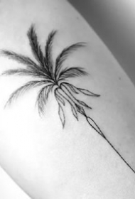 椰子树纹身图--9张简约的黑色椰子树纹身图案作品