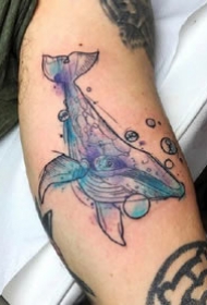 9张漂亮的水彩色鲸鱼纹身图案作品