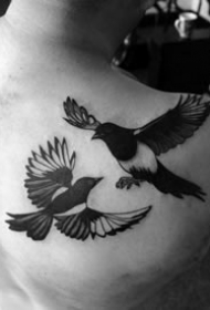 喜鹊纹身--11张男士各部位的黑色喜鹊纹身图案