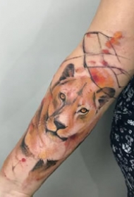 几张重彩色的漂亮狮子纹身图案作品