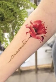 罂粟花纹身图--几张红色艳丽的唯美罂粟花纹身图案作品