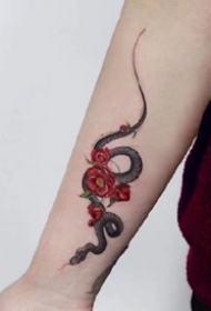 精美的小黑蛇与红色花朵的纹身图案作品图片