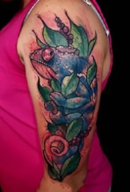 重水彩色风格的一组手臂动物等纹身图案欣赏