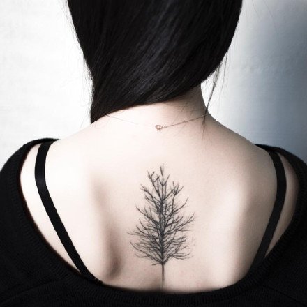 点击大图看下一张：一组简约的小树纹身图案9张