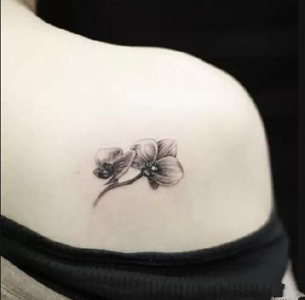 点击大图看下一张：兰花纹身--一组关于花中君子兰花的纹身图案欣赏