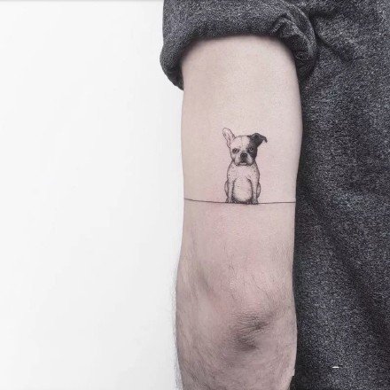 点击大图看下一张：铲屎官纹身---超可爱的一组小清新小猫小狗纹身图案先