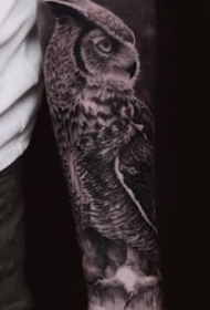 猫头鹰相关的一组9张黑灰猫头鹰纹身图案图片
