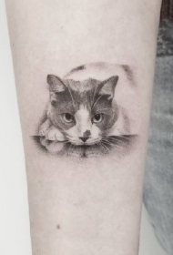 猫咪纹身--猫奴的可爱小猫咪纹身图案作品
