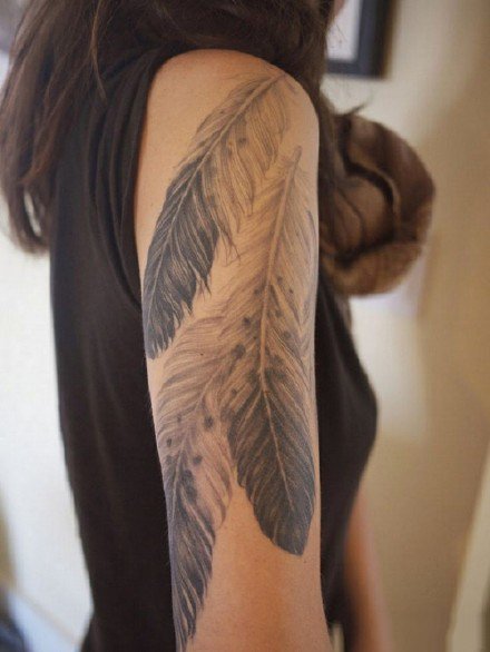 点击大图看下一张：一组羽毛相关的纹身图案作品9张