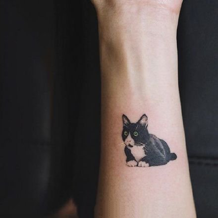 点击大图看下一张：可爱的萌萌哒宠物小猫咪纹身作品图案