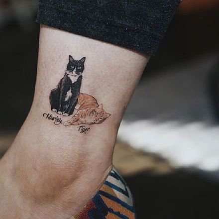 点击大图看下一张：可爱的萌萌哒宠物小猫咪纹身作品图案