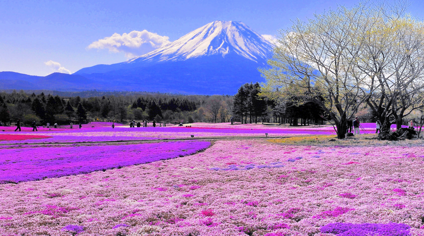 点击大图看下一张：日本自然风光风景照