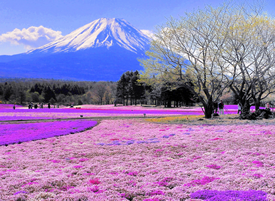 日本自然风光风景照