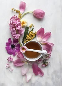 鲜花与茶自然搭配的摄影作品