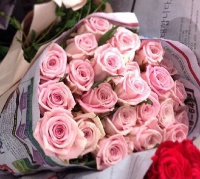 点击大图看下一张：少女心粉色玫瑰花图片
