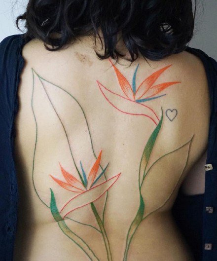 点击大图看下一张：花卉植物的一组印花线条纹身手稿图案欣赏