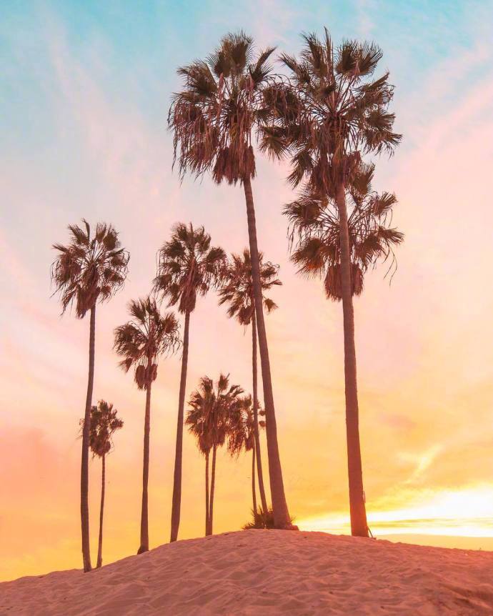 点击大图看下一张：加州的日落时分风景拍摄