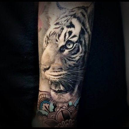 点击大图看下一张：写实的一组百兽之王老虎纹身图案作品