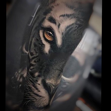 点击大图看下一张：写实的一组百兽之王老虎纹身图案作品