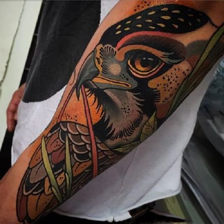 点击大图看下一张：鹰纹身--一组彩色的猫头鹰等鹰纹身作品欣赏