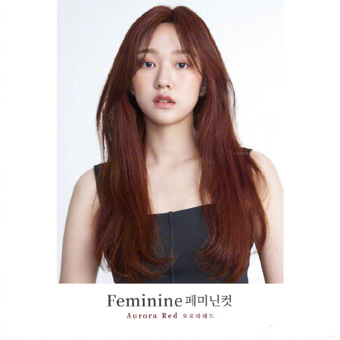 点击大图看下一张：女生韩式长发发色及发型图片