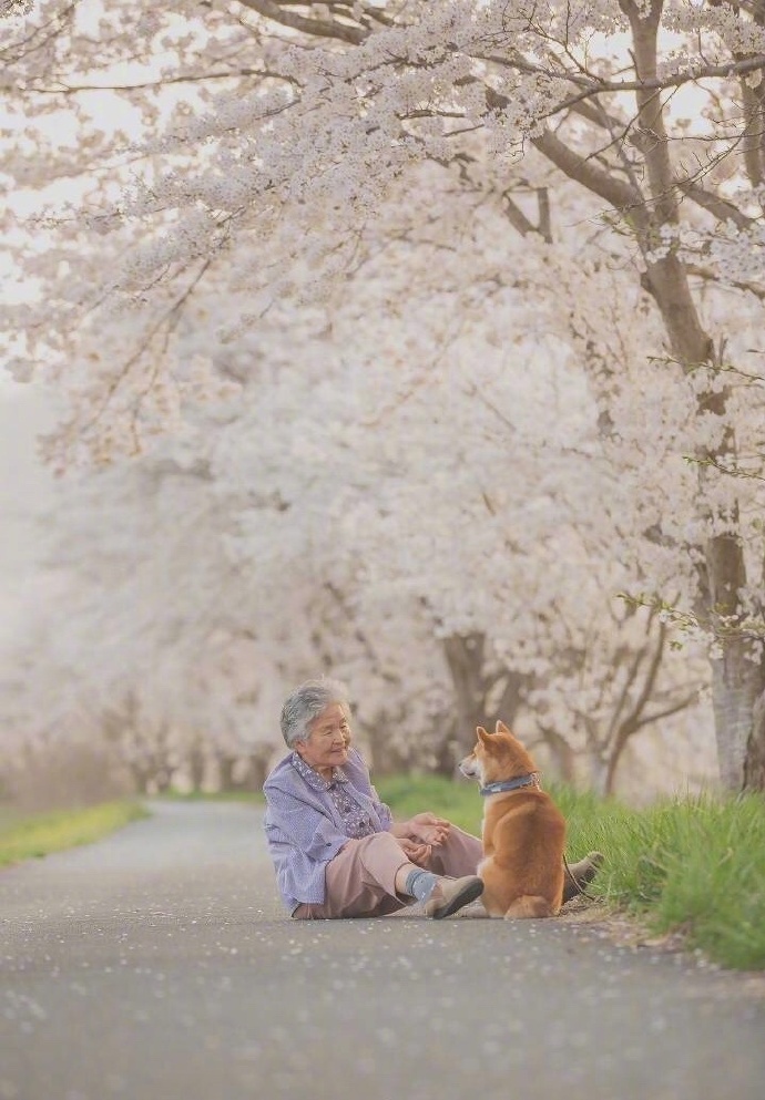 点击大图看下一张：狗狗陪伴老人的暖心拍摄九张图片欣赏