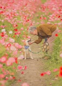 狗狗陪伴老人的暖心拍摄九张图片欣赏