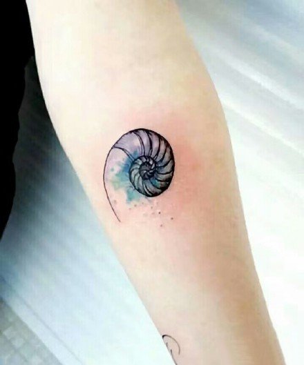 点击大图看下一张：一组漂亮的海螺纹身图案作品9张