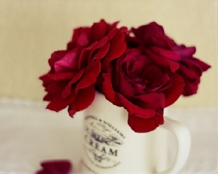 点击大图看下一张：即使玫瑰不叫玫瑰, 也依然芬芳如故。
