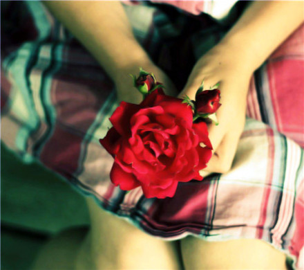 点击大图看下一张：即使玫瑰不叫玫瑰, 也依然芬芳如故。