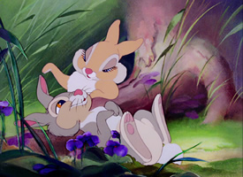 两只谈恋爱的兔子 可爱壁纸欣赏
