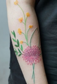 花卉植物的一组印花线条纹身手稿图案欣赏