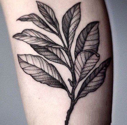 点击大图看下一张：黑色的一组树叶纹身图案作品9张