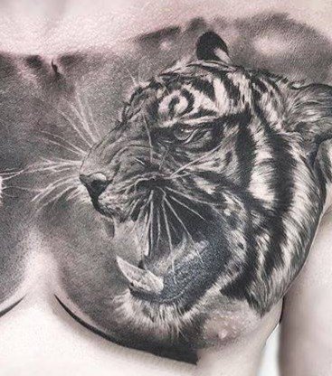点击大图看下一张：写实风格的一组森林之王黑灰老虎纹身图案