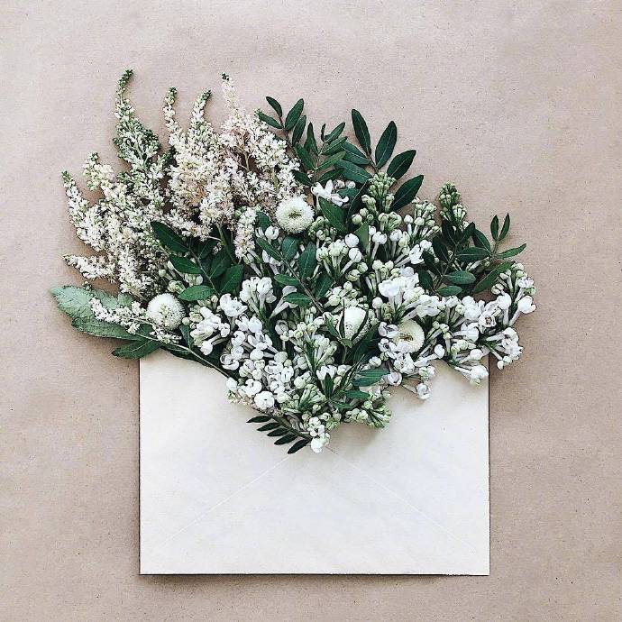 点击大图看下一张：唯美创意的信封花朵壁纸欣赏