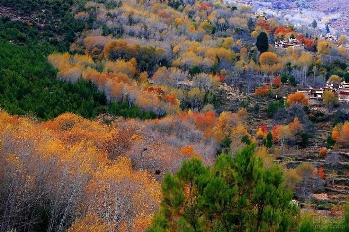 点击大图看下一张：最美的秋天，川藏线的丹巴