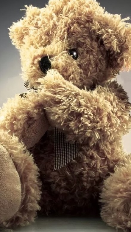 点击大图看下一张：萌萌哒泰迪熊玩偶图片欣赏
