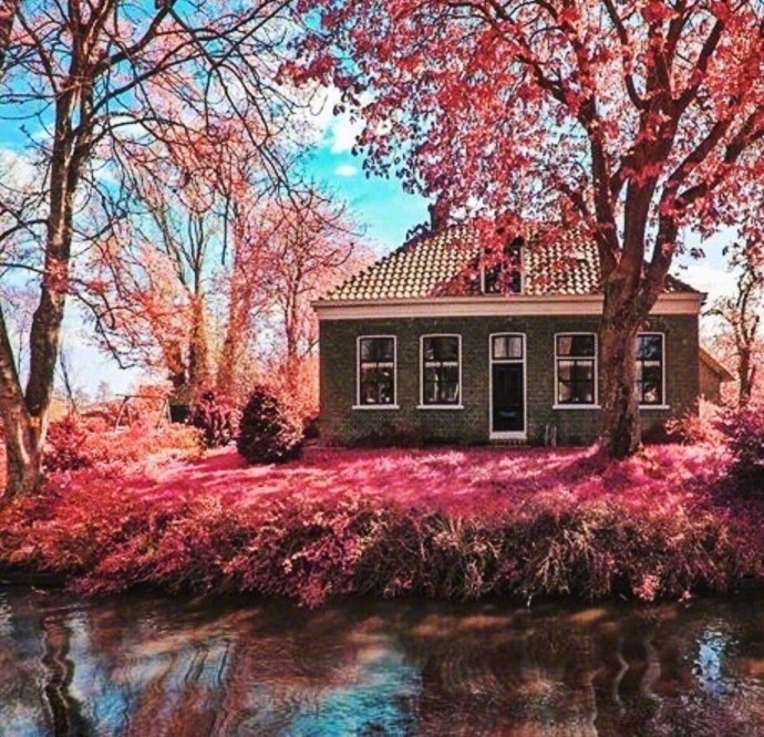 点击大图看下一张：荷兰羊角村的秋天，一个秋日中的童话