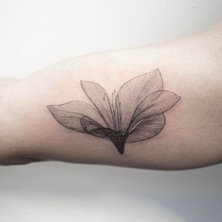点击大图看下一张：百合花纹身图：很简约的一组小百合花纹身图案