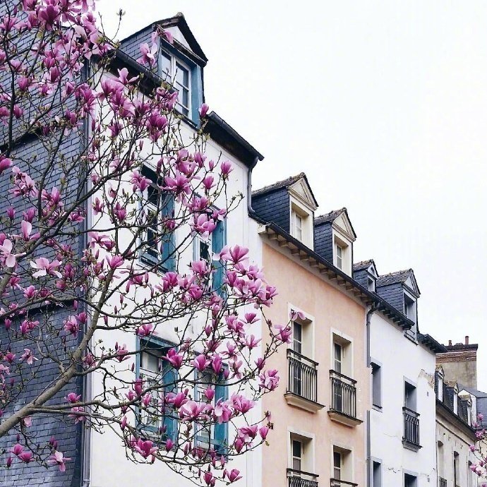 点击大图看下一张：法国雷恩，寻常的街头流露出丝丝浪漫的气息