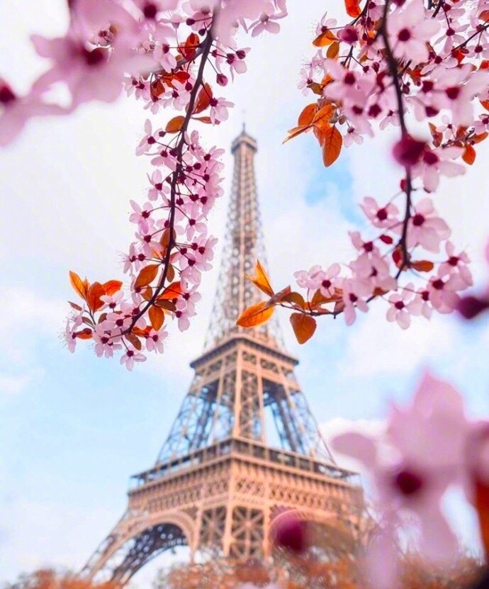 点击大图看下一张：春天的巴黎 粉粉的梦幻美拍摄图片
