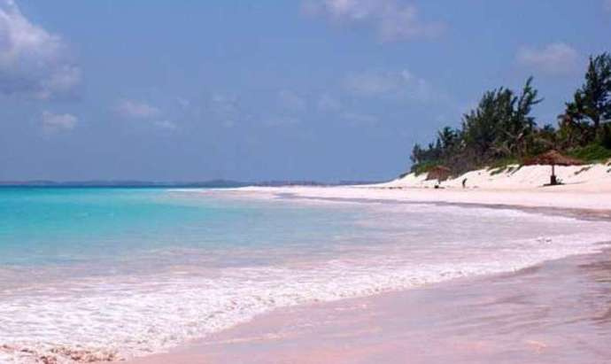 点击大图看下一张：巴哈马群岛上哈勃岛的粉色海滩，最性感的海滩