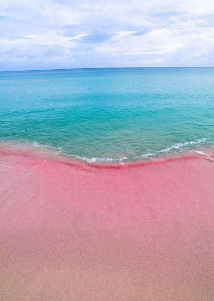 点击大图看下一张：巴哈马群岛上哈勃岛的粉色海滩，最性感的海滩