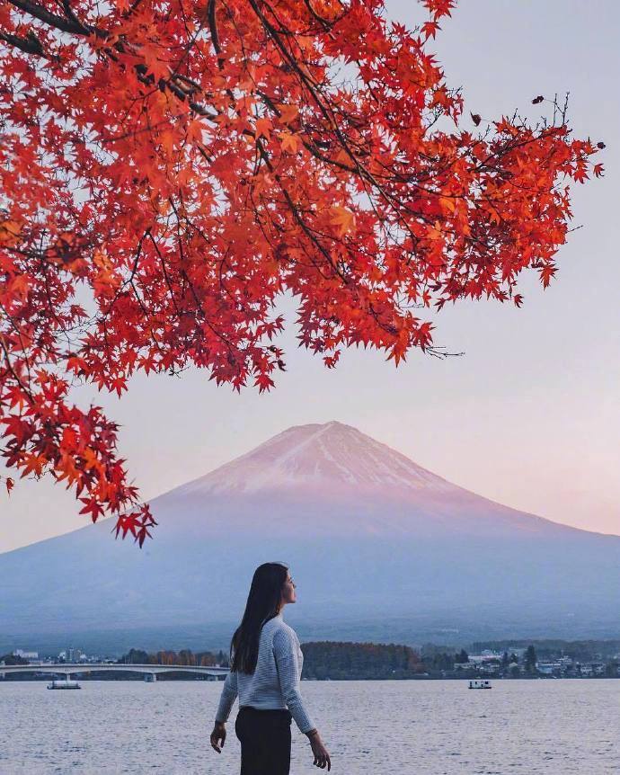 点击大图看下一张：明朝挂帆席，枫叶落纷纷 日本红枫美景欣赏