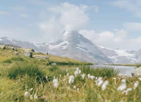 瑞士秋日阿尔卑斯山的列車图片欣赏