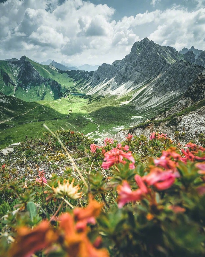 点击大图看下一张：春暖花开 阳光明媚的春天风景图片欣赏