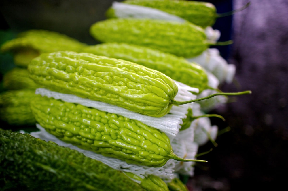 点击大图看下一张：清热解暑 明目解毒的蔬菜--苦瓜图片欣赏