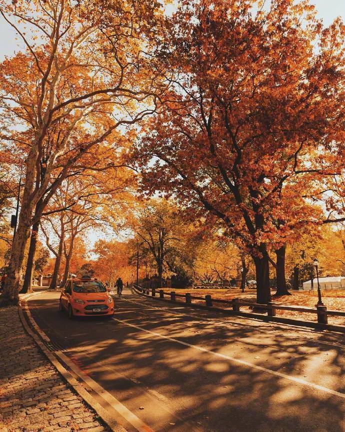 点击大图看下一张：一叶知秋、 金风送爽寂静的秋景图片欣赏