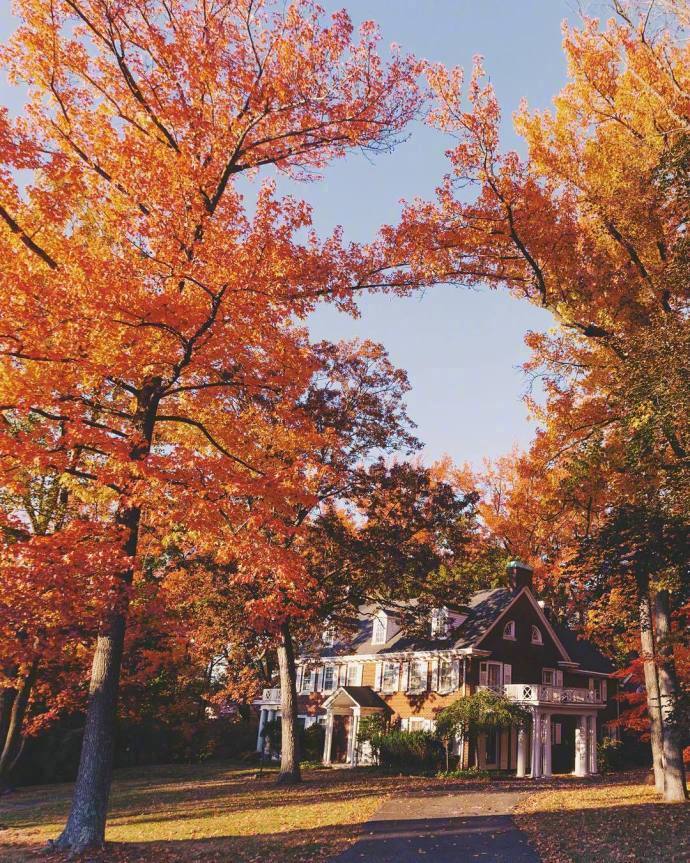 点击大图看下一张：一叶知秋、 金风送爽寂静的秋景图片欣赏