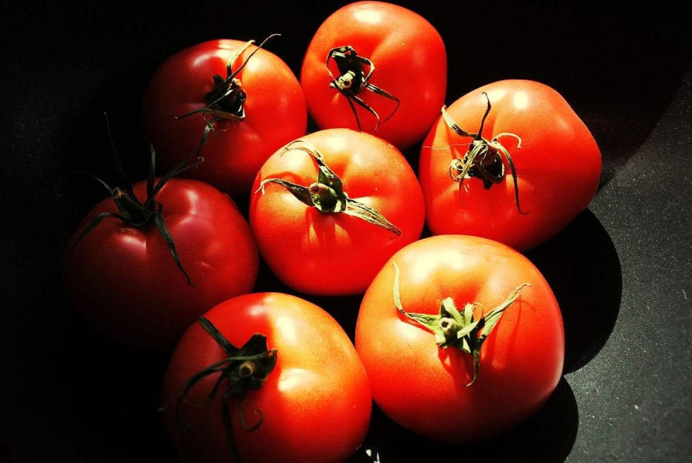 点击大图看下一张：一组意境感超美的红红的番茄图片欣赏